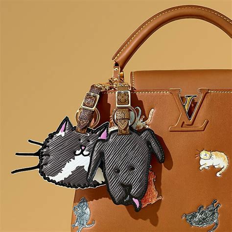 louis vuitton cat fashion.